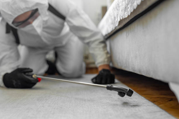 Professional Termite Control technician working in Rosemount, MN