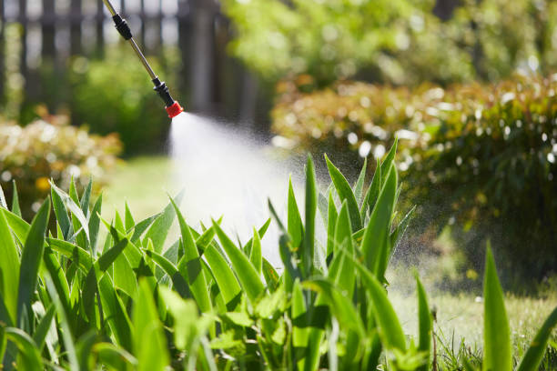 24/7 Emergency Termite Control experts in Rosemount, MN